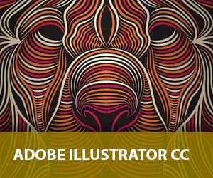 ILLUSTRATOR
